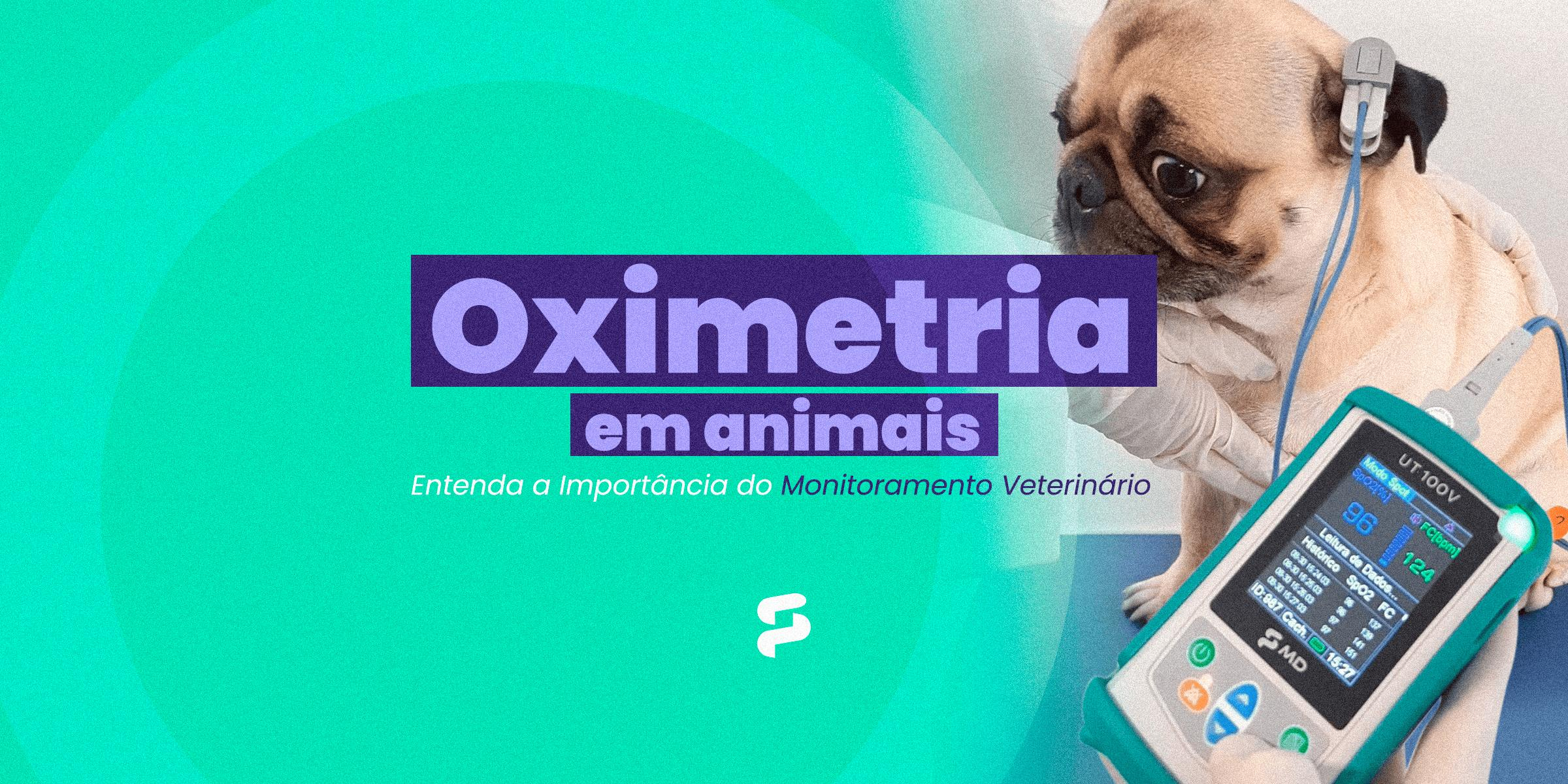 Oximetria em Animais: Entenda a Importância do Monitoramento Veterinário