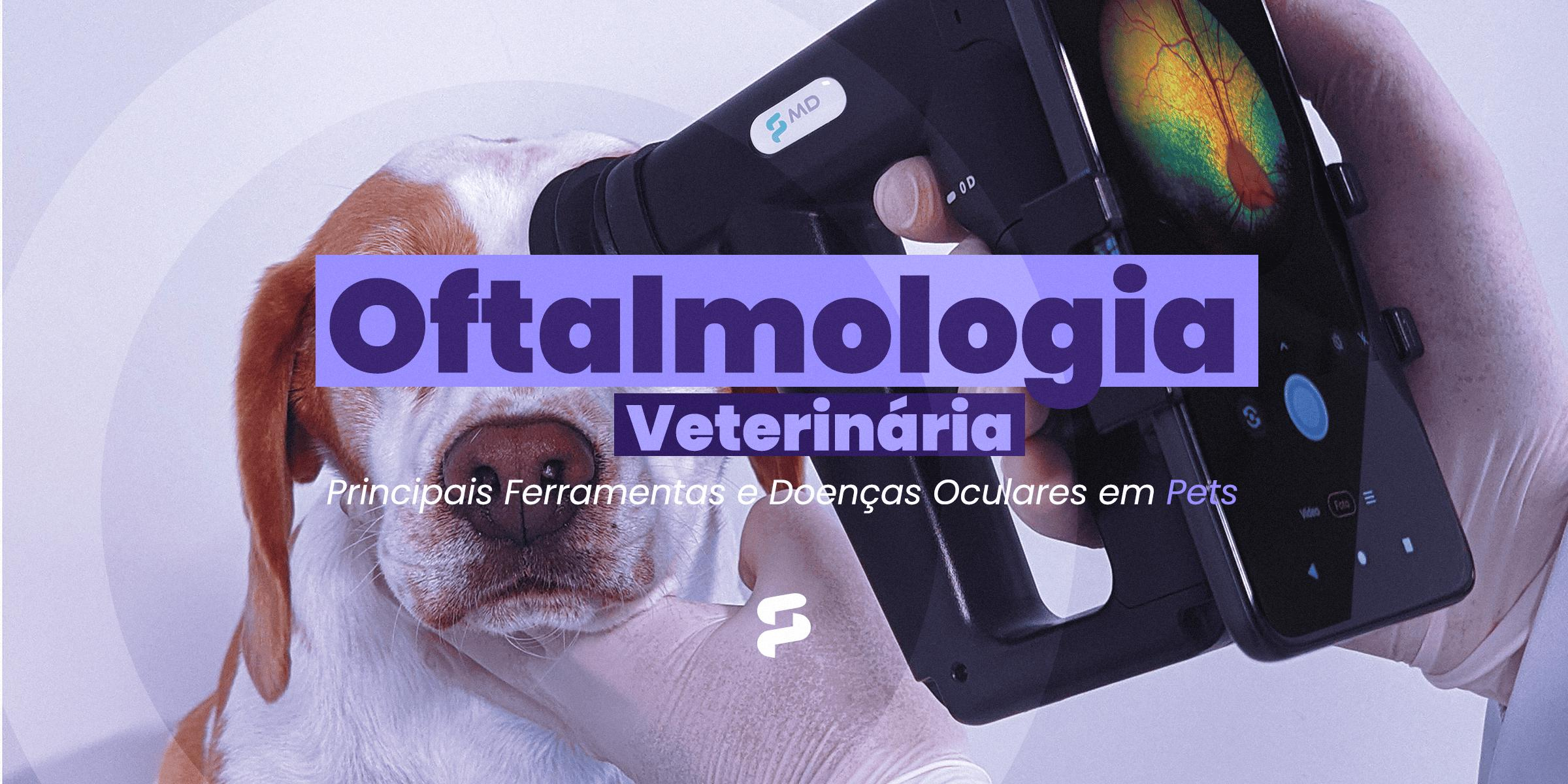 Oftalmologia Veterinária: Principais Ferramentas e Doenças Oculares em Pets